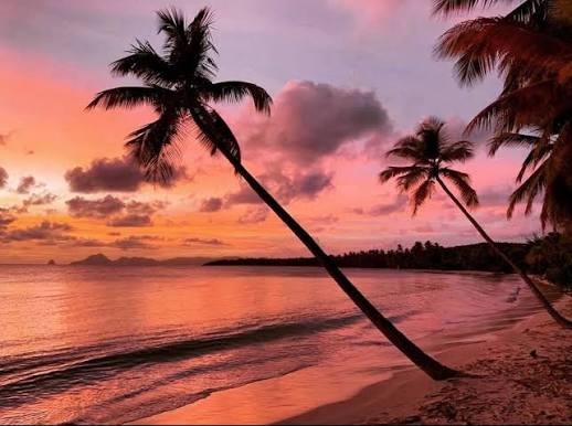 Cover for article Cap sur la Martinique : explorez l'île aux fleurs en toute liberté